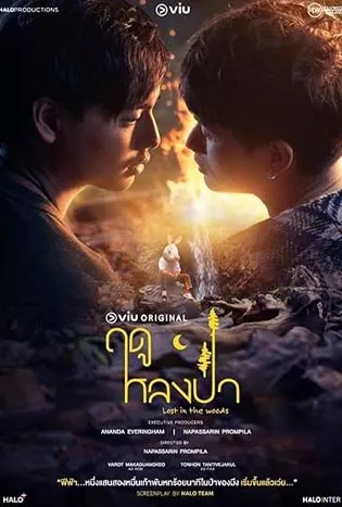 Lost in the Woods 2025