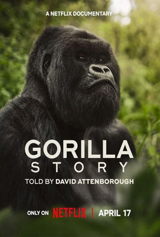 A-Gorilla-Story-(2026)